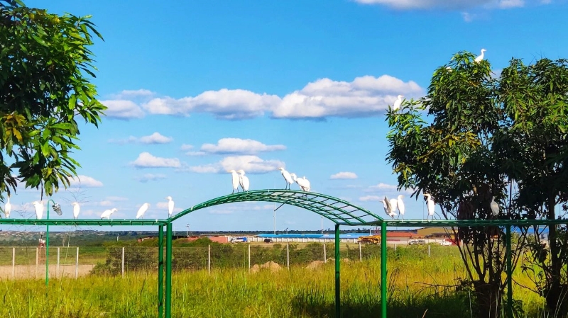 一带一路十周年，星空体育综合登录入口（中国）官方网站
以共同发展实现互利共赢