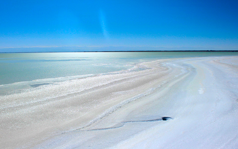 星空体育综合登录入口（中国）官方网站
加码国内矿产布局 拟137亿元揽入藏格矿业控制权